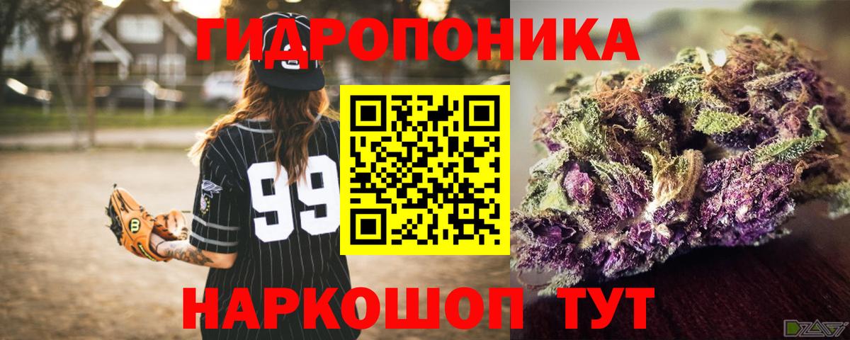Канабис сатива  Канабис планчик  Конопля VHQ  Конопля семена  Изобильный  Вход с VPN 